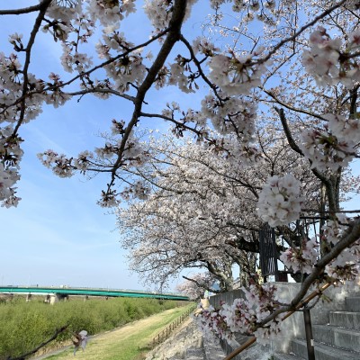 季節を感じる|株式会社未来住建｜安城市｜注文住宅・マンションリノベ・定期借地権付分譲