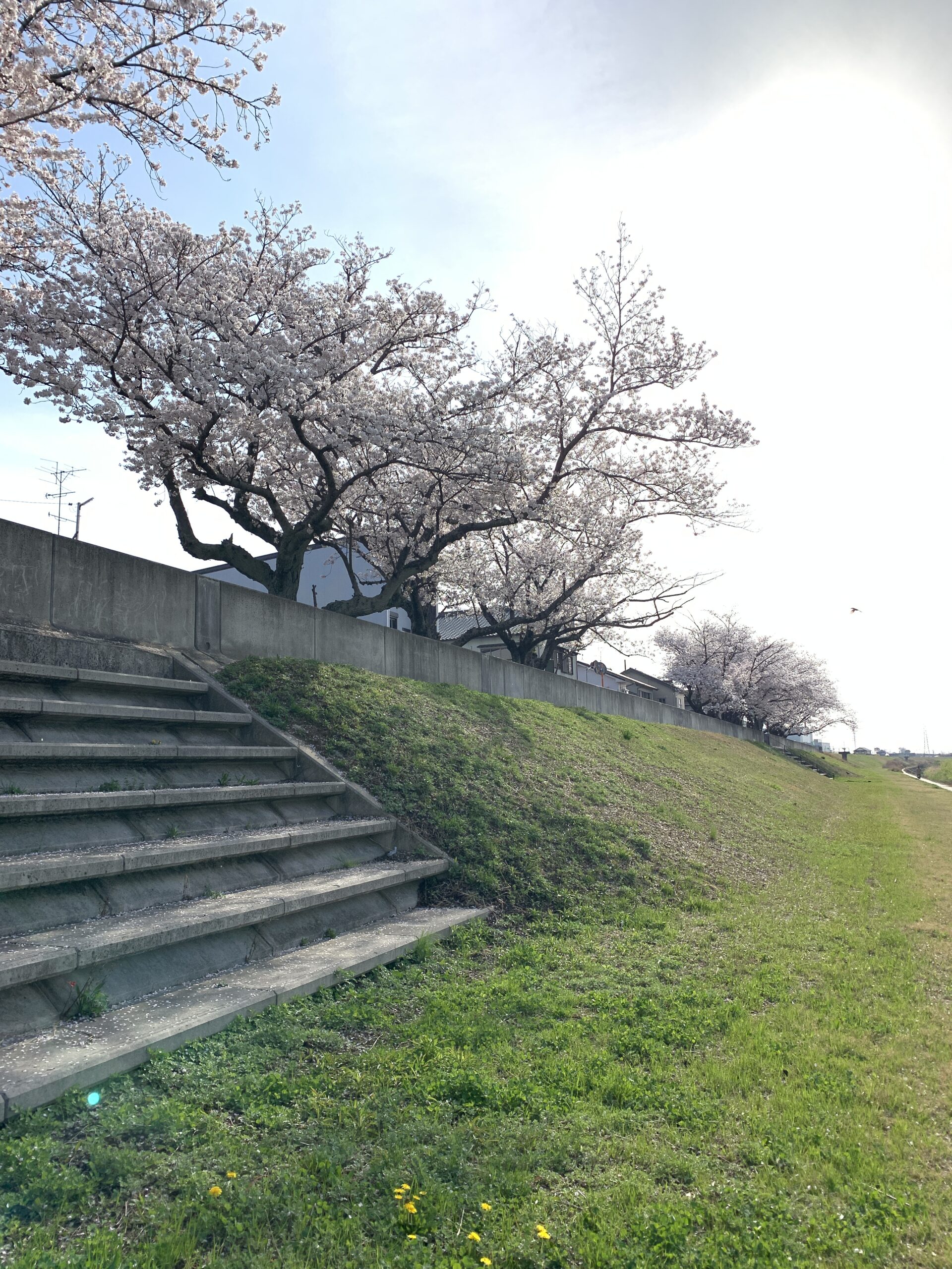 株式会社未来住建｜安城市｜注文住宅・マンションリノベ・定期借地権付分譲